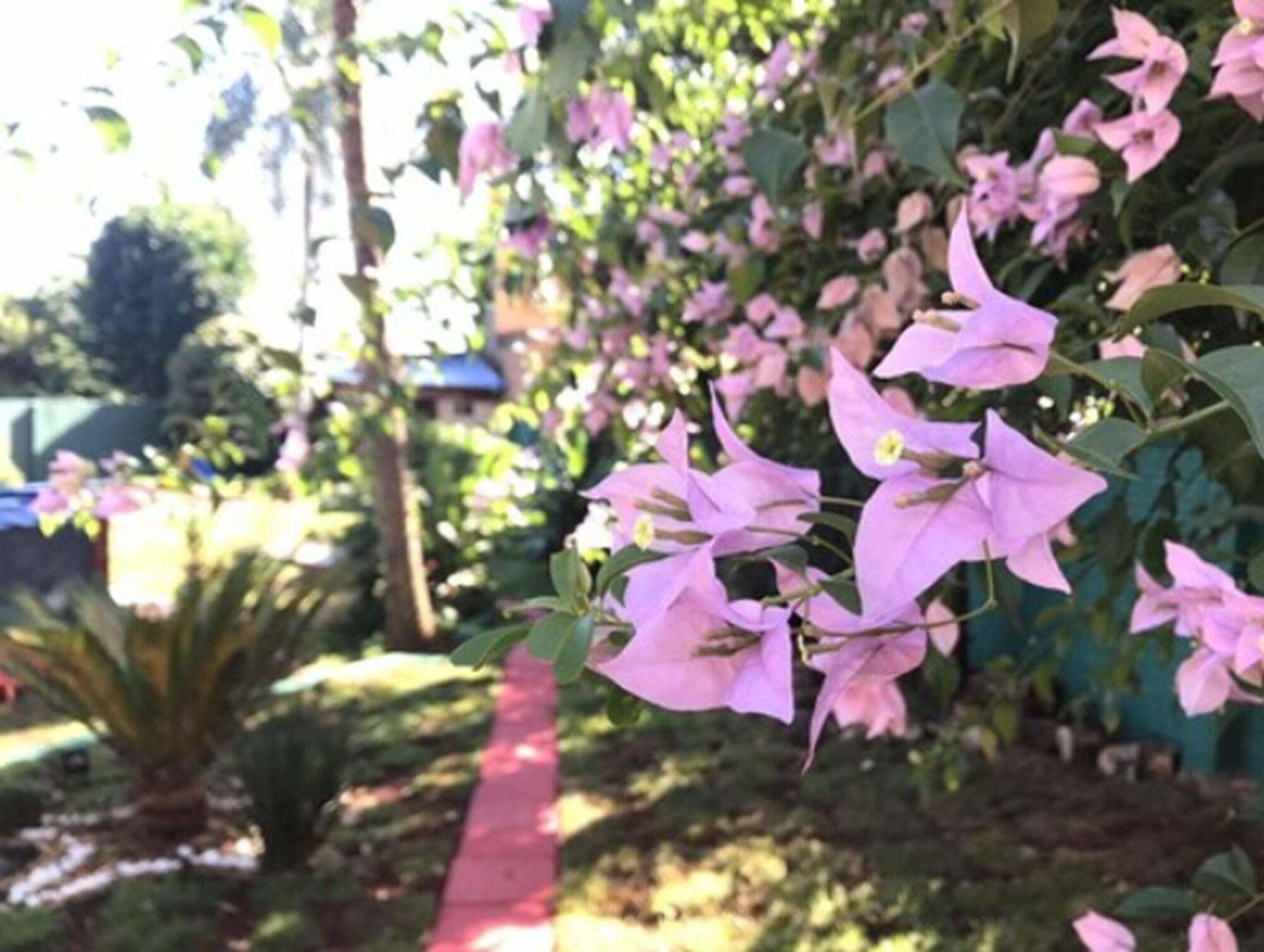 La Quinta By Wyndham Kingsville Bagian luar foto